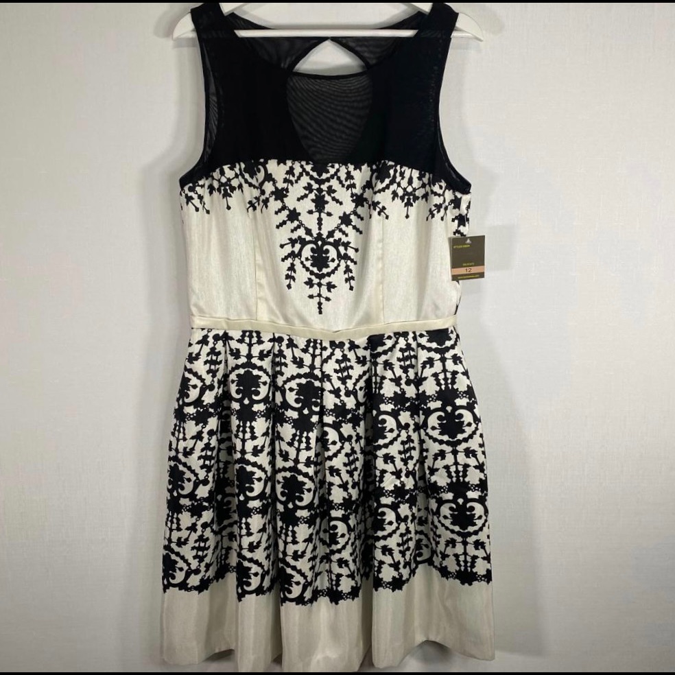 Taylor Sleeveless Mesh Neck Line Fit & Flair Dress